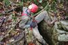 2013__10_frz_Jura_064.jpg im Album frz Jura, Herbst 2013